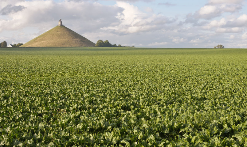 photo-1-belgique_butte_du_lion_dit_de_waterloo-fileminimizer