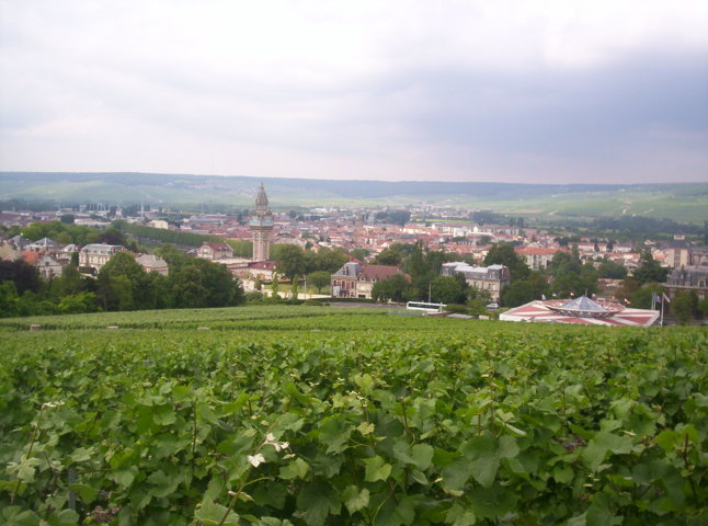 photo-2-view_of_epernay_from_mont_bernon-fileminimizer