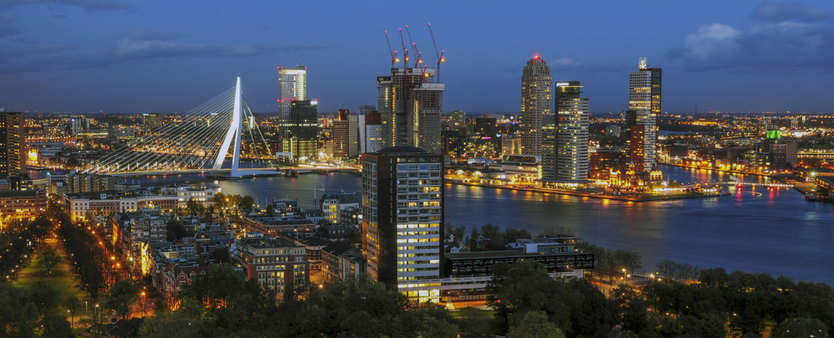 photo-3-erasmusbrug_seen_from_euromast-fileminimizer