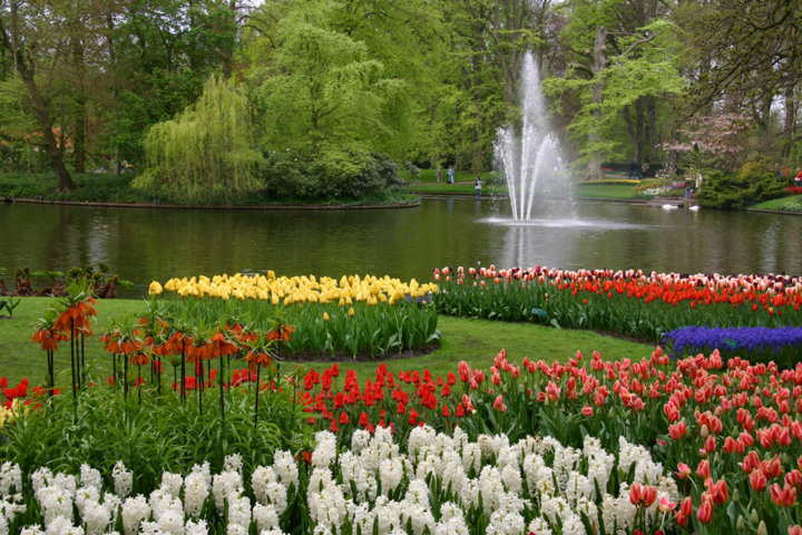 photo-3-keukenhof-fileminimizer