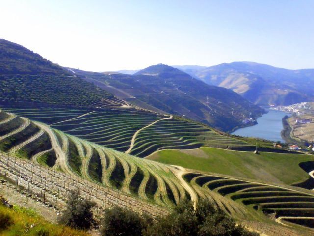 photo-3-oporto_terraced_vineyards-fileminimizer