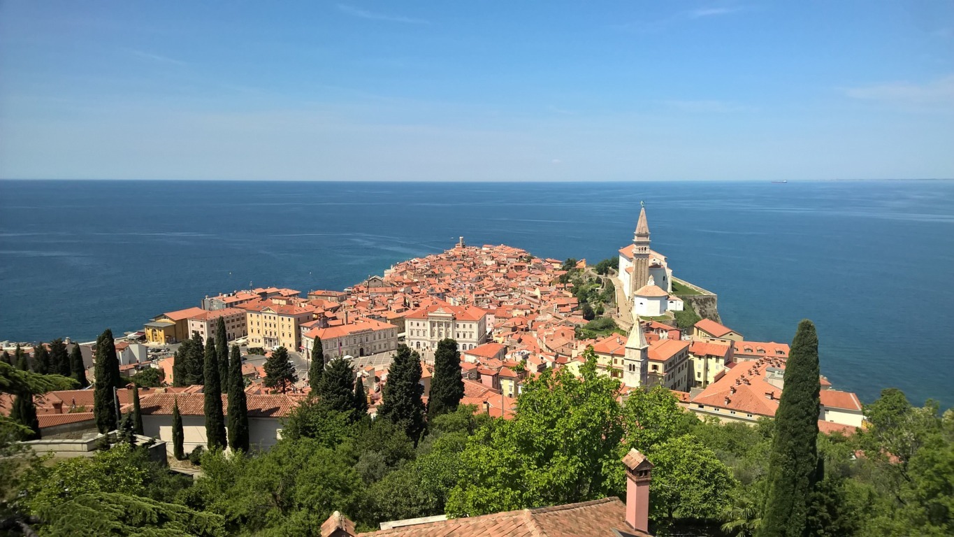 Image par moonbee de Pixabay PIRAN JOUR 4 (FILEminimizer)